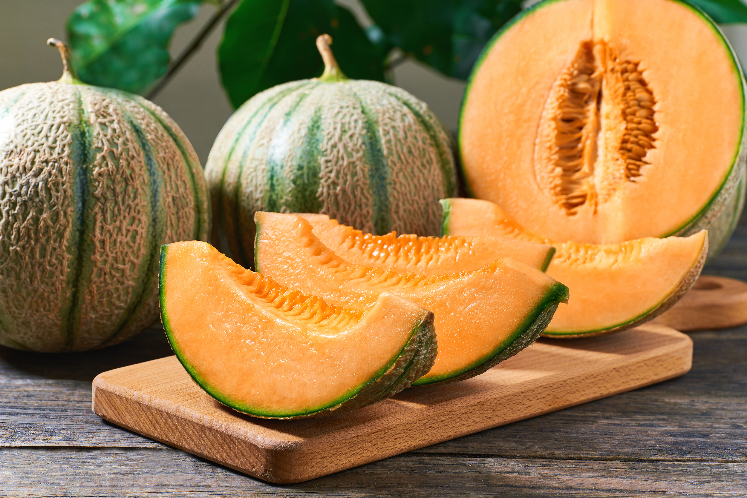 Il melone