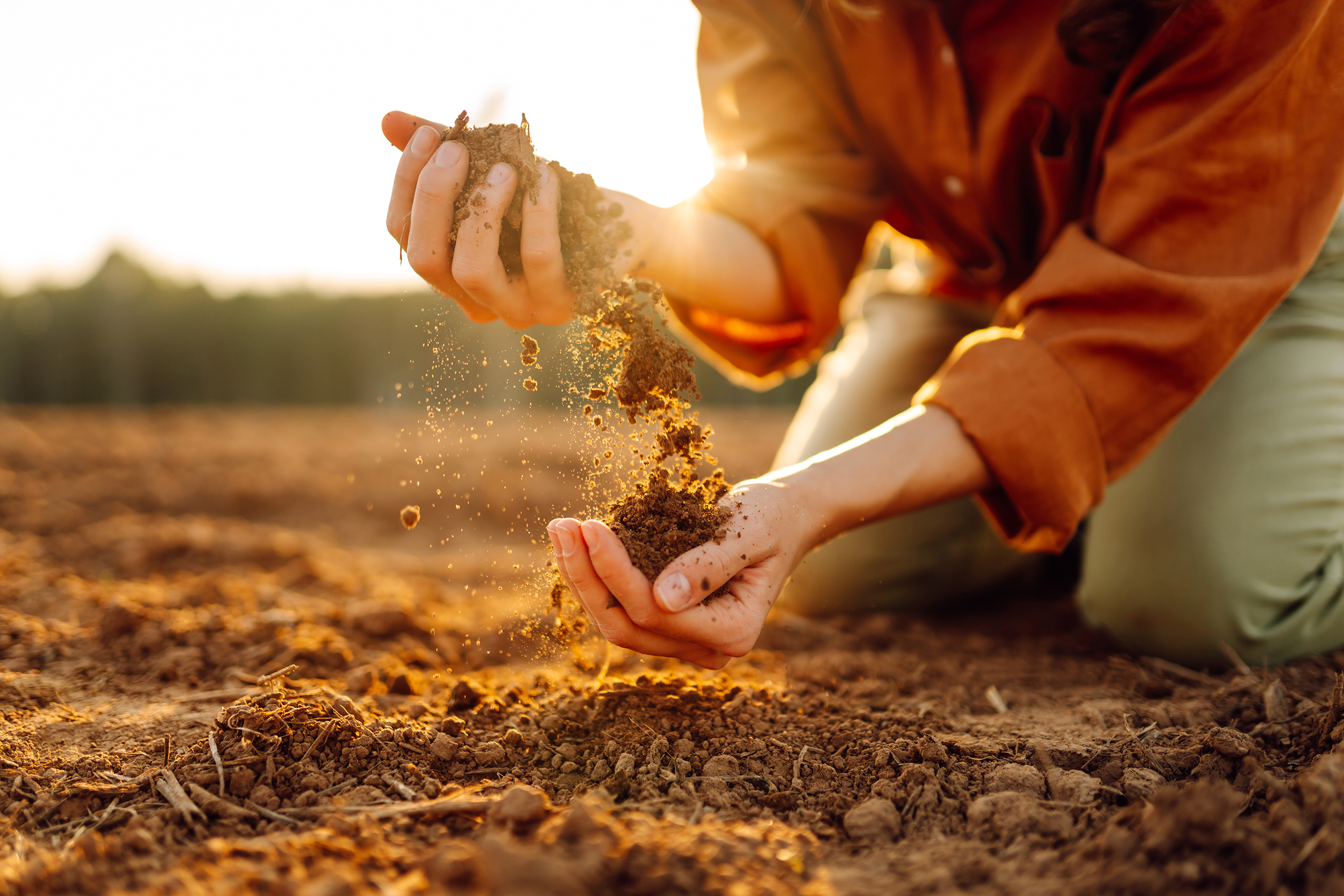 Women’s hands sort through black soil in the field. A woman farm
