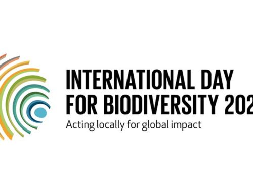 Biodiversità e agricoltura biologica